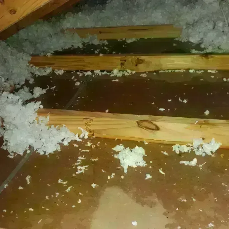 Attic Water Damage in La Plata, MD